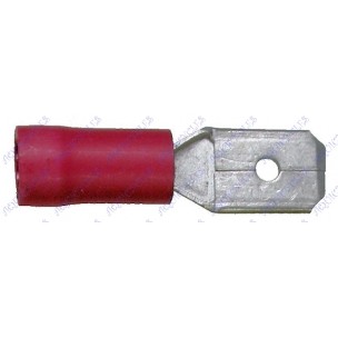COSSES PLAT MALE ROUG *50