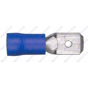 COSSES PLAT MALE BLEU *50