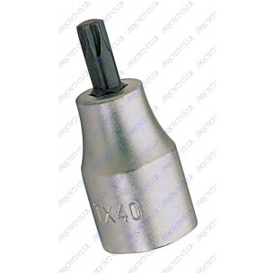 DOUILLE TORX 1/2
