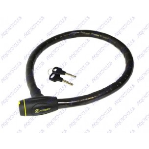 ANTIVOL VERTEBRE 100