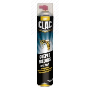 INSECTICIDE FOUDROYANT