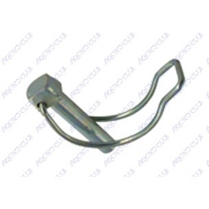 GOUPILLE AUTO 10x50