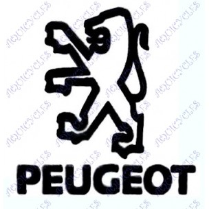 MOYEU VARIATEUR PGT CPT