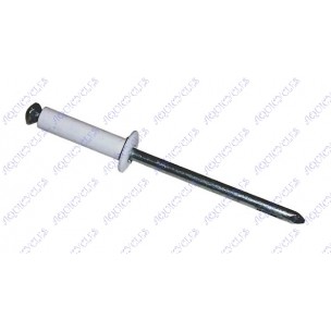 RIVETS BLANCS *20