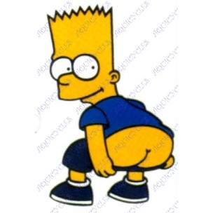 STICKER SMART FESSES