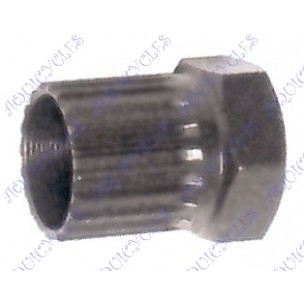 DEMONTE R-L ATOM-REGINA