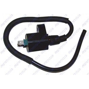 BOBINE PGT EXT ELECTRONIQ