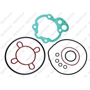 POCHET JTS MINARELLI AM6