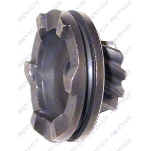 NOIX DE KICQ BOOSTER