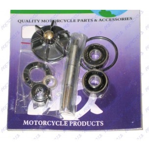 KIT POMPE A EAU NRG/MC2