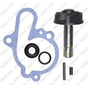 KIT POMPE A EAU AM6