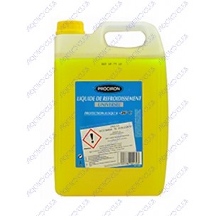 LIQUIDE PERMANENT -25 5L