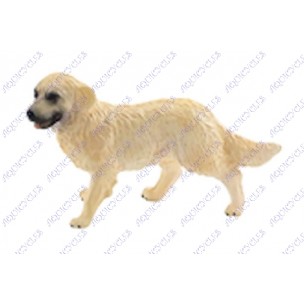MINIATURE CHIEN GOLDEN-RE