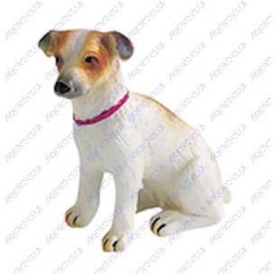 MINIATURE CHIEN TERRIER
